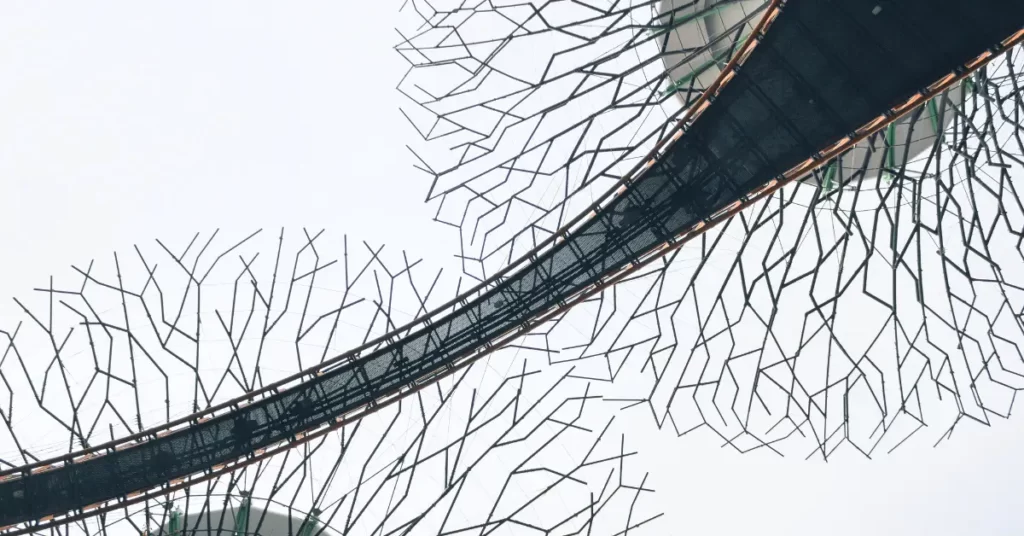 Biomimicry in architecture